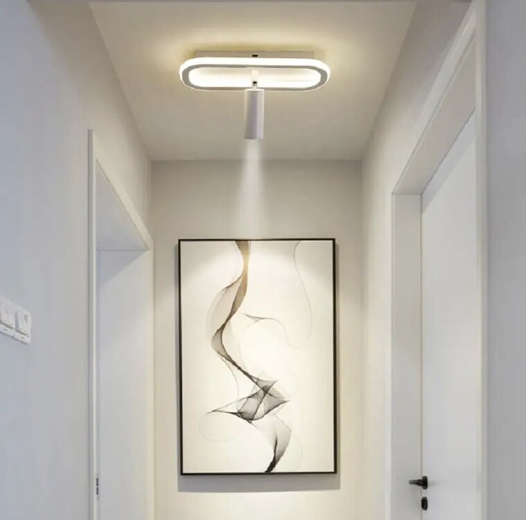 ELİPS PLAFONYER LED AVİZE 16x40 cm 1 SPOTLU