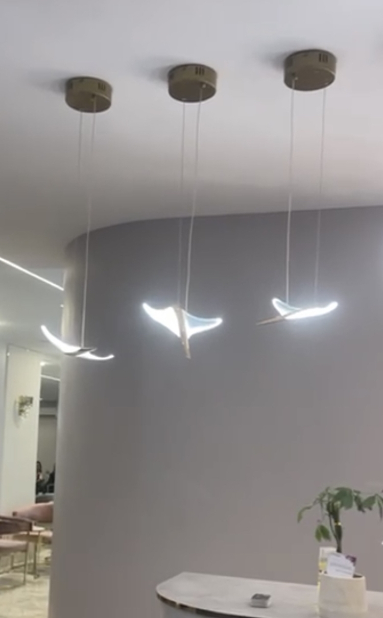 TEKLİ LED KUŞ SARKIT AVİZE