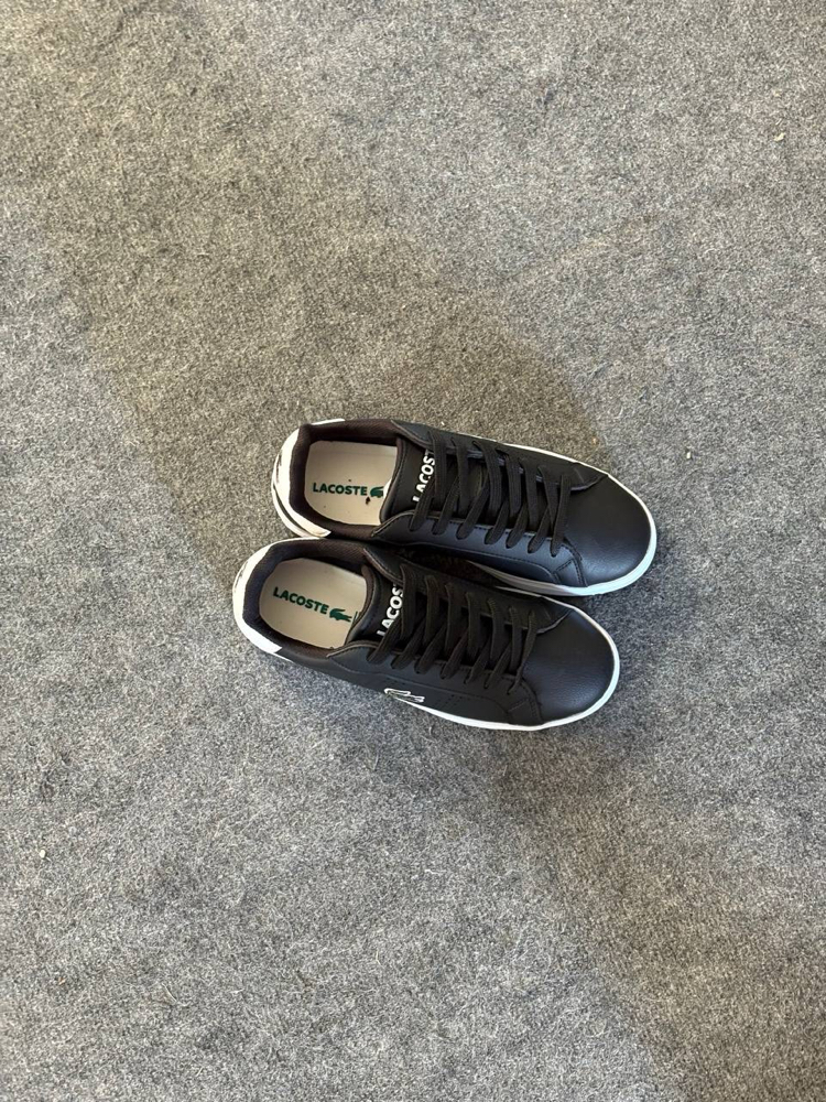 LACOSTE CARNABY PRO