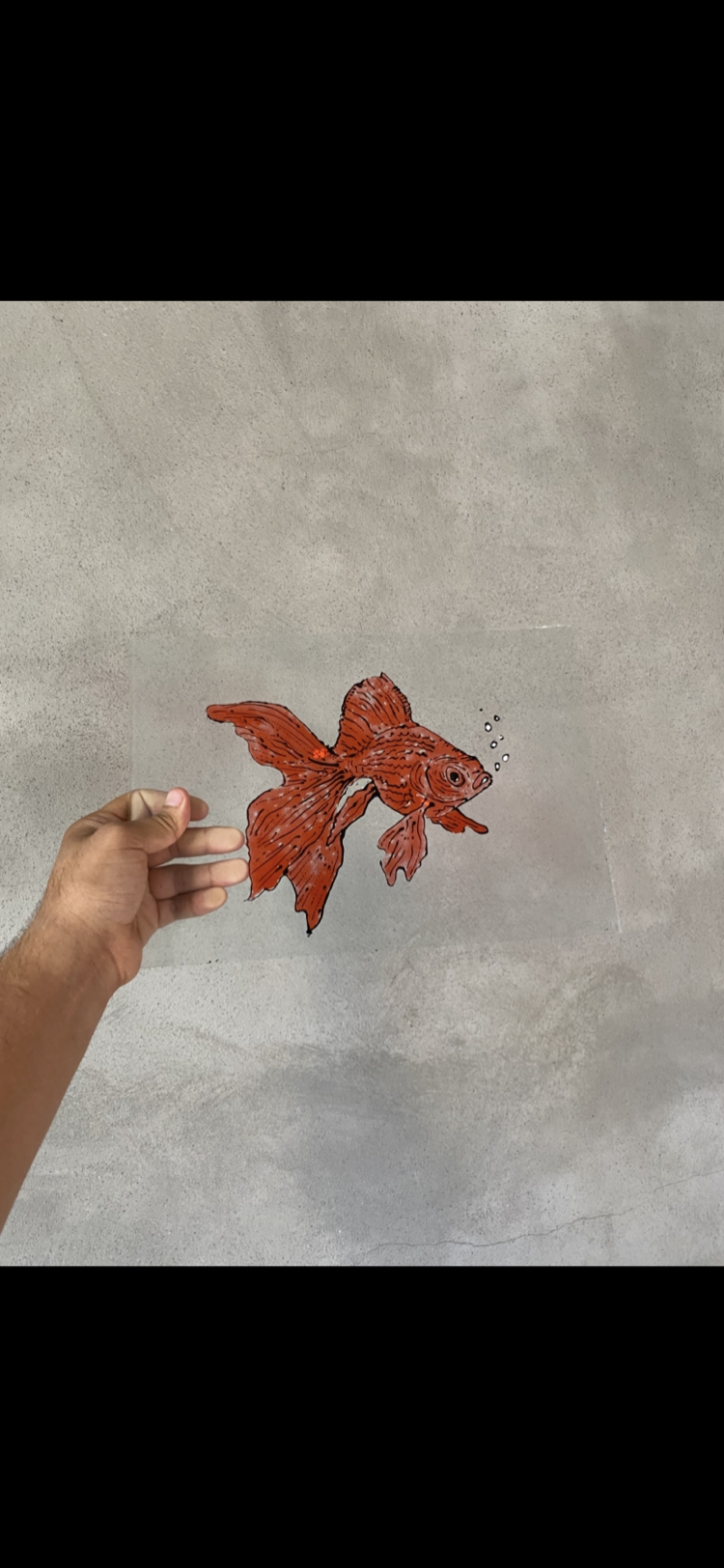 Kırmızı Balık Camaltı Boyama 