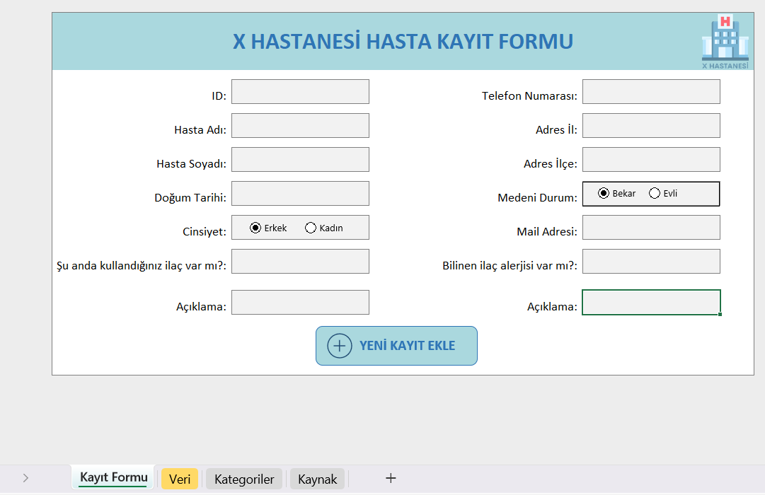 Excel Veri Giriş Formu Şablonu