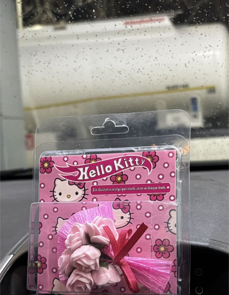 Hot flowers (Hello Kitty)