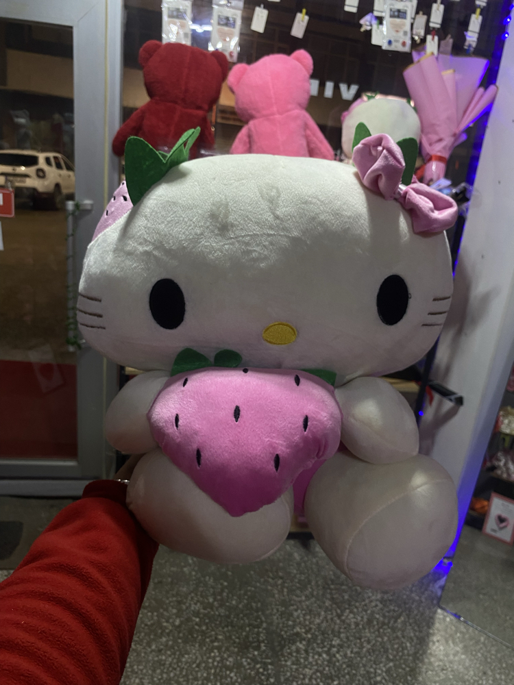 Hello kitty Büyük Peluş Ayıcık