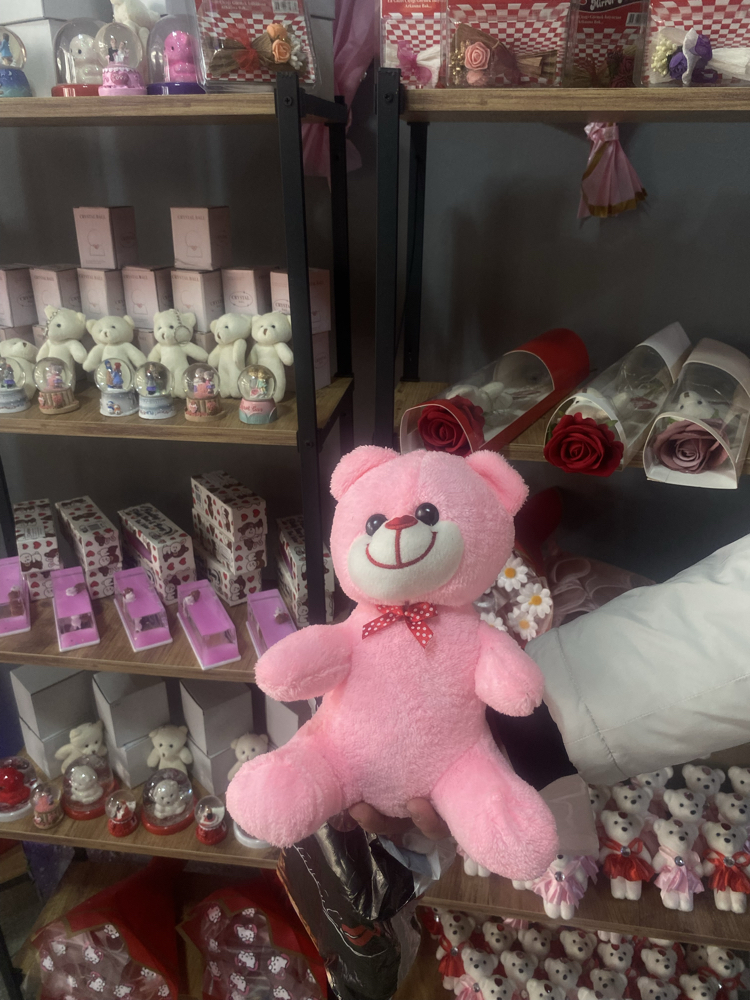 27 cm Pembe Peluş Ayıcık Sevimli Teddy Romantik Hediye