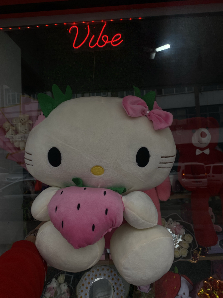 Hello kitty Büyük Peluş Ayıcık