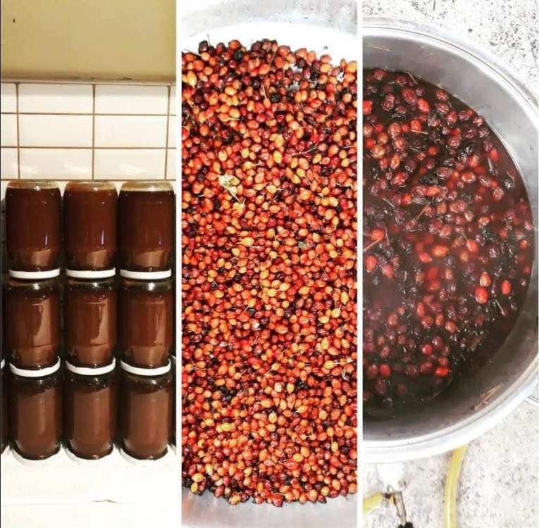 Şekersiz Kuşburnu Marmelatı