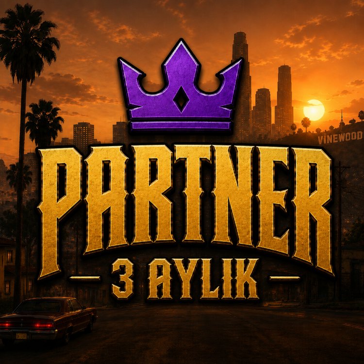 3 Aylık Partner | Vices MTA Türkiye CnR