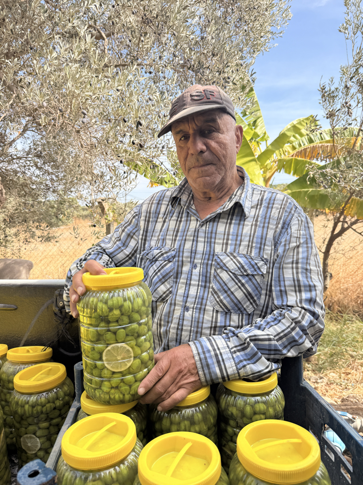 Taş Kırma Yeşil Zeytin 2 KG