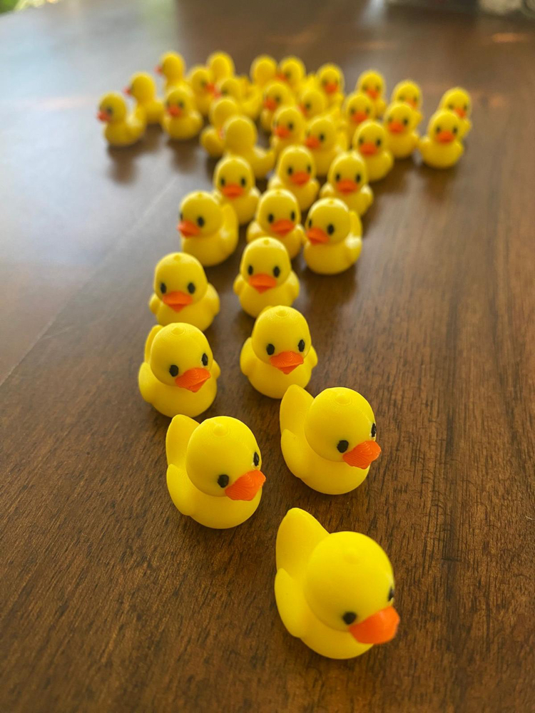 Mini mini ördek 