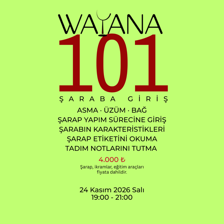 WAYANA 101 - Şaraba ilk Adım