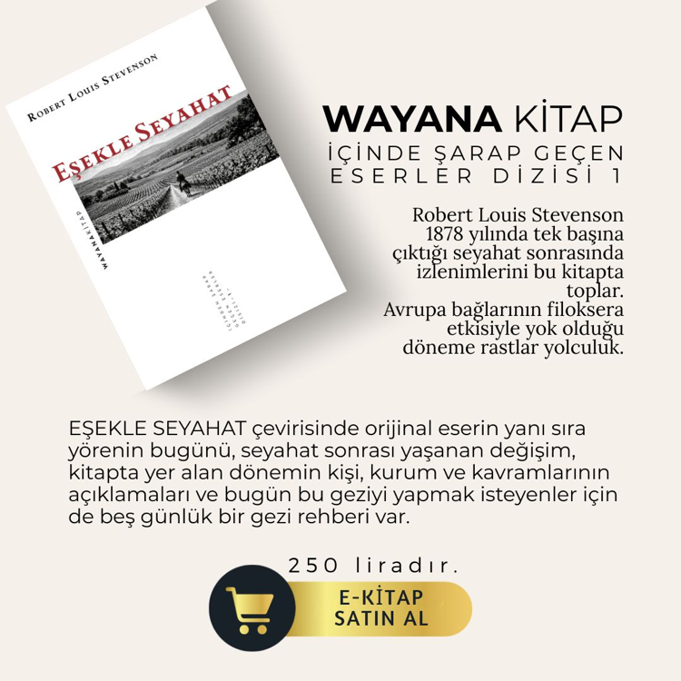 Eşekle Seyahat – E-Kitap 