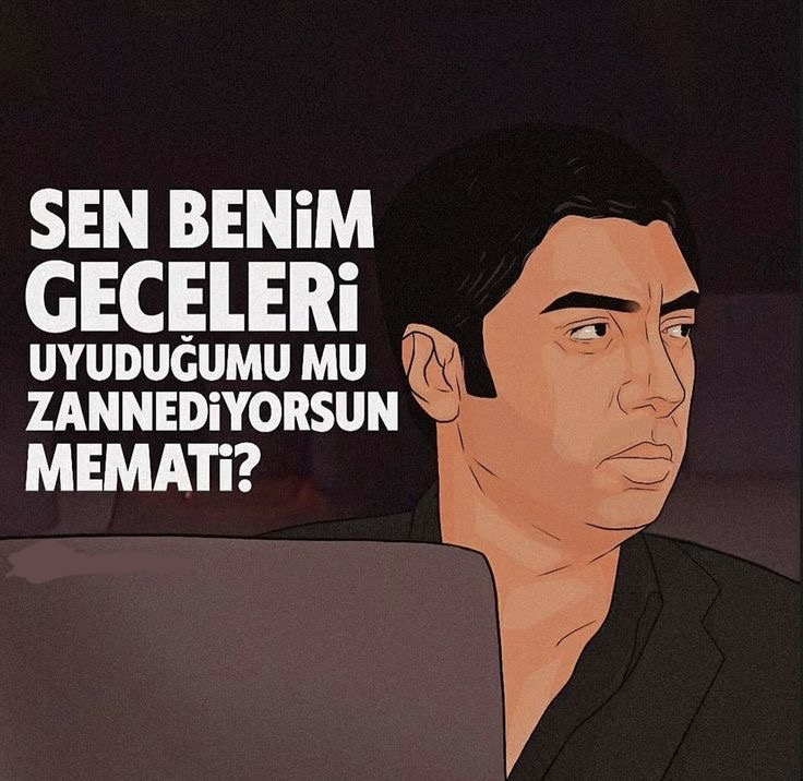 Sözlü polat alemdar posteri