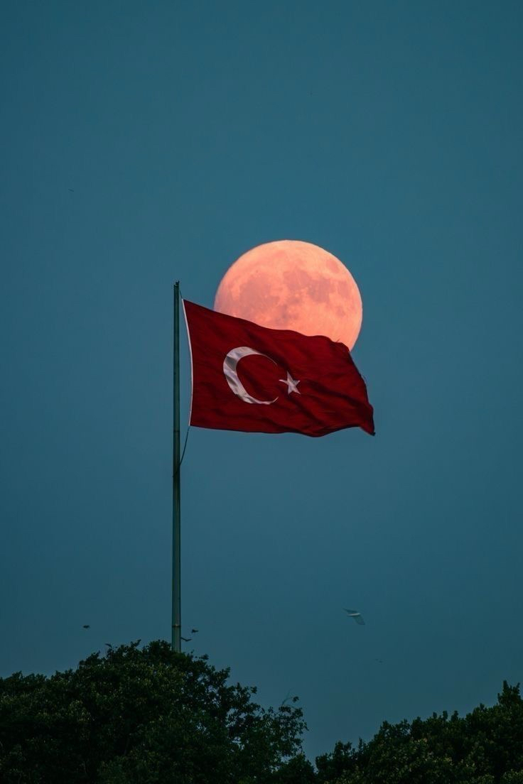 Türk bayrağı posteri