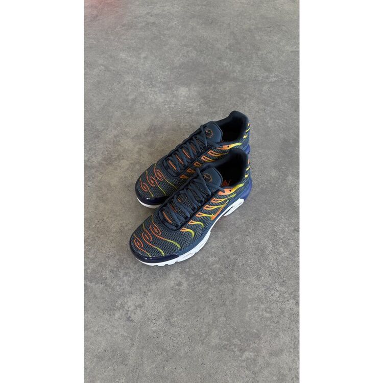 Air Max Plus Blue Void University Gold