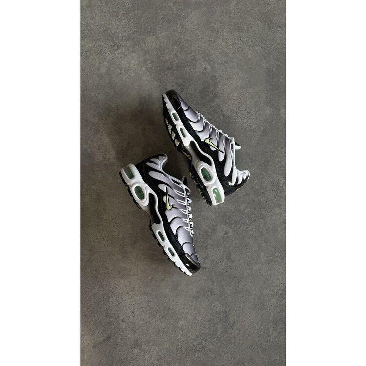 Air Max Plus TN 
