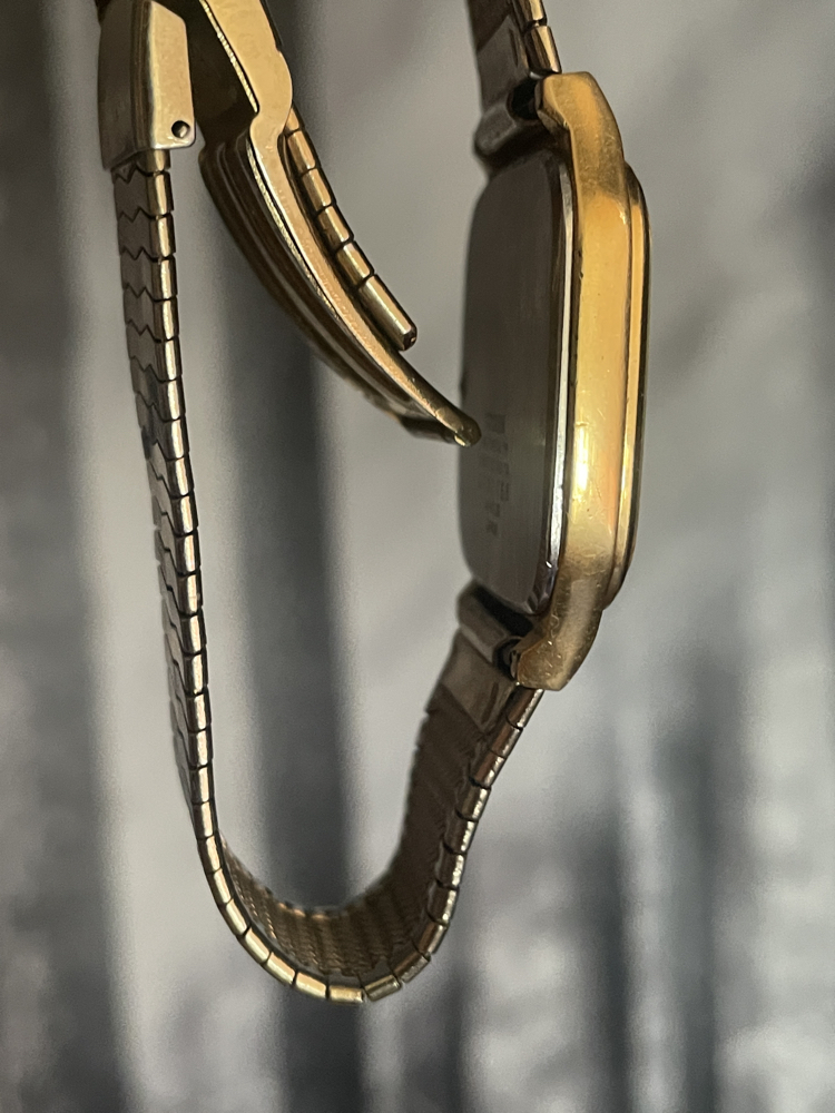 1980’s Citizen
