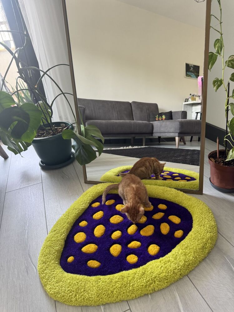 3 boyutlu Tufting Evcil Hayvan Yatağı/Halısı