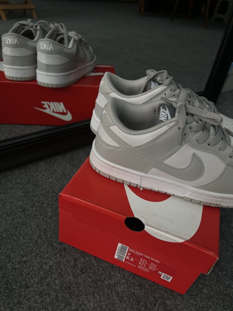 Nike Dunk Low Grey Fog