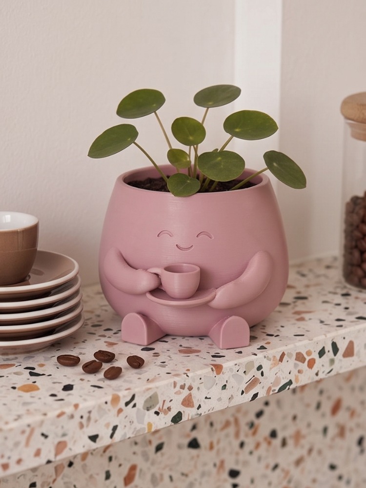 Barista Buddy Sevimli Karakter Tasarımlı Mini Sukulent ve Çiçek Saksısı