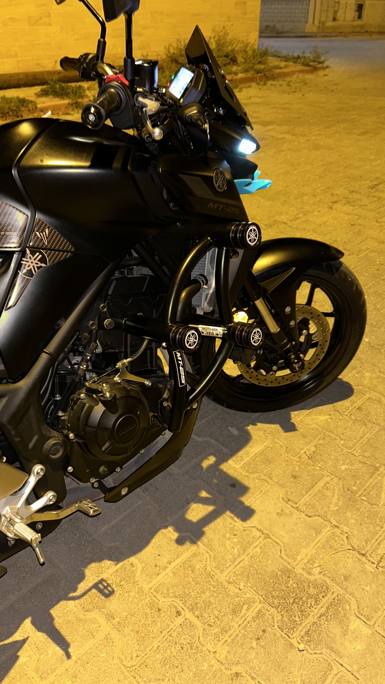 YAMAHA MT25 AKS KORUMA SET