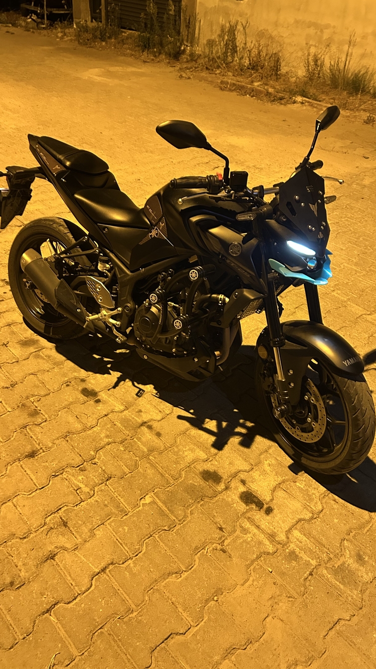 YAMAHA MT25 AKS KORUMA SET