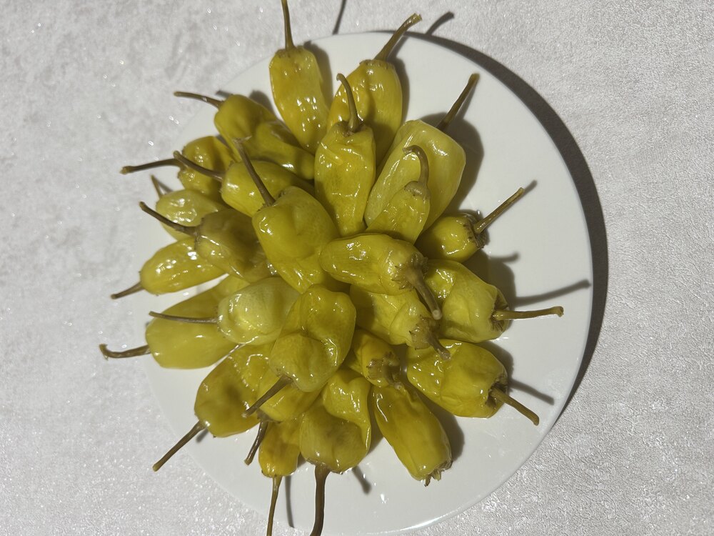 1 KG ÜÇ BURUN BİBER TURŞUSU 