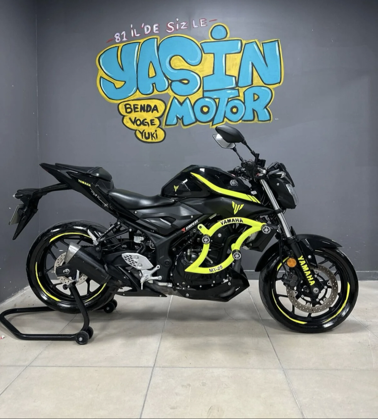 YAMAHA MT 25 ÖZEL ÜRETİM 3 TAKOZLU ÖN KORUMA DEMİRİ 