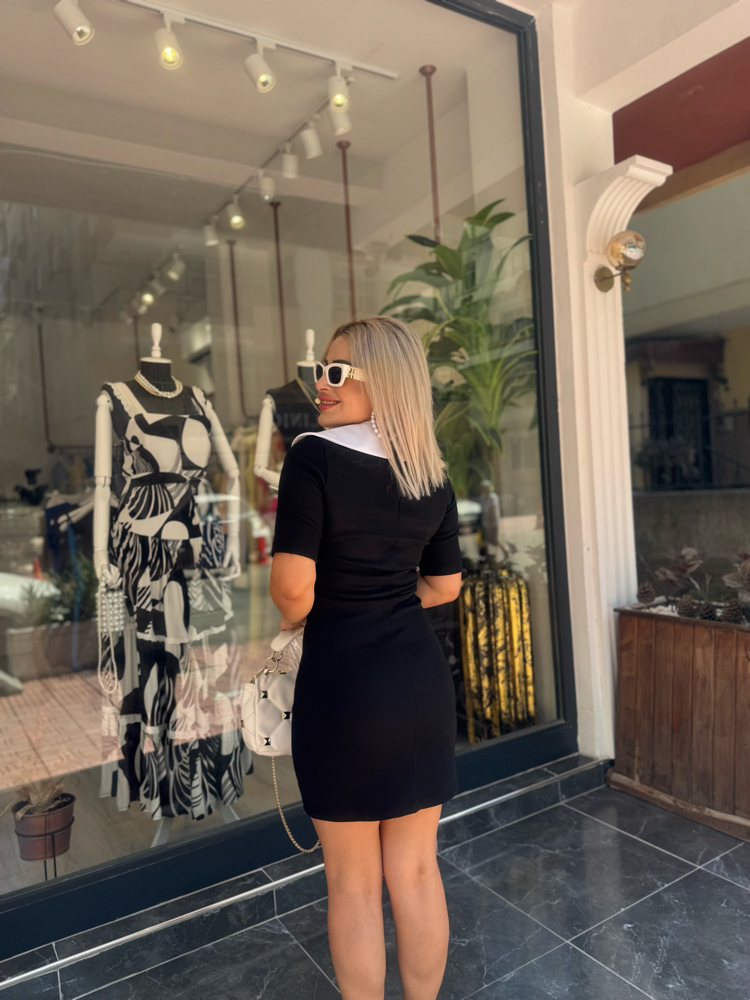 Yakalı elbise