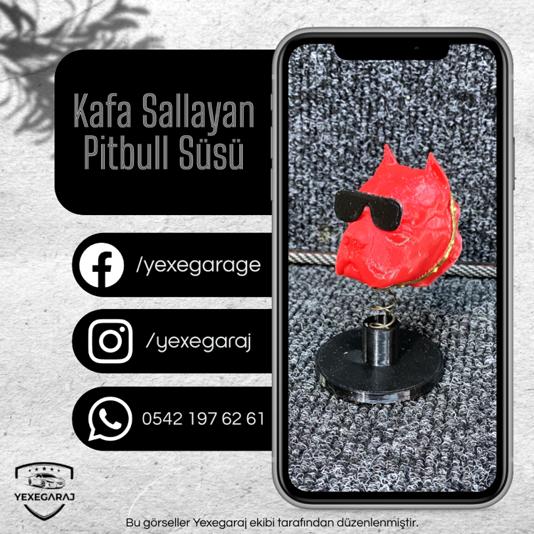 Torpidoya Kafa Sallayan Pitbull Süsü