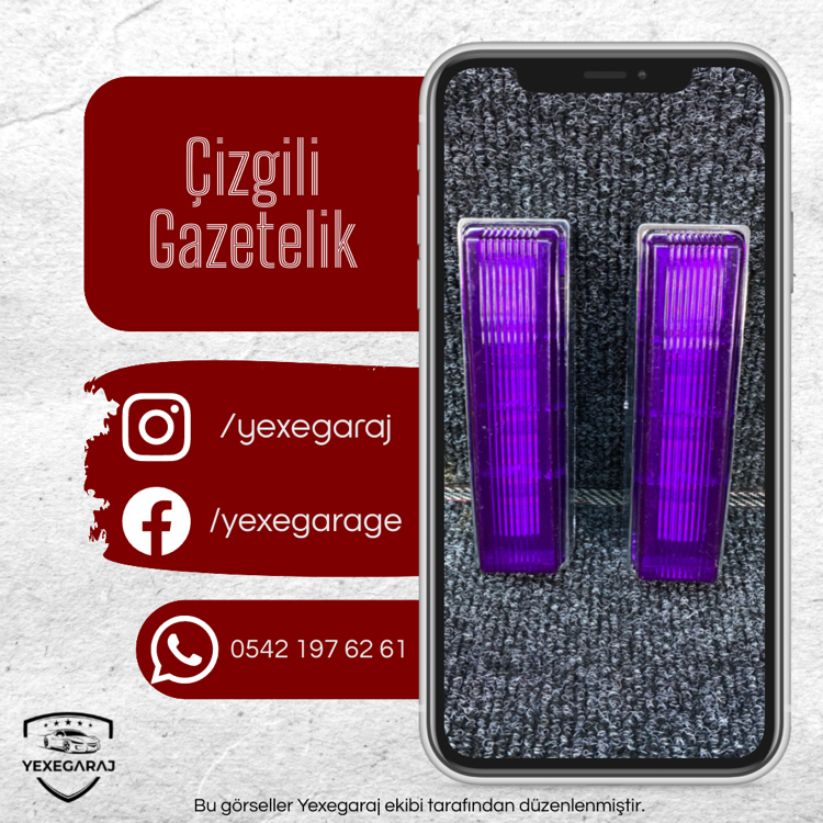 Çizgili Gazetelik Çift