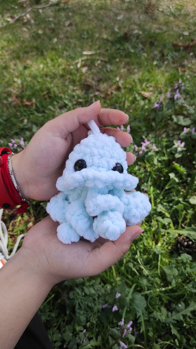 Jellyfish