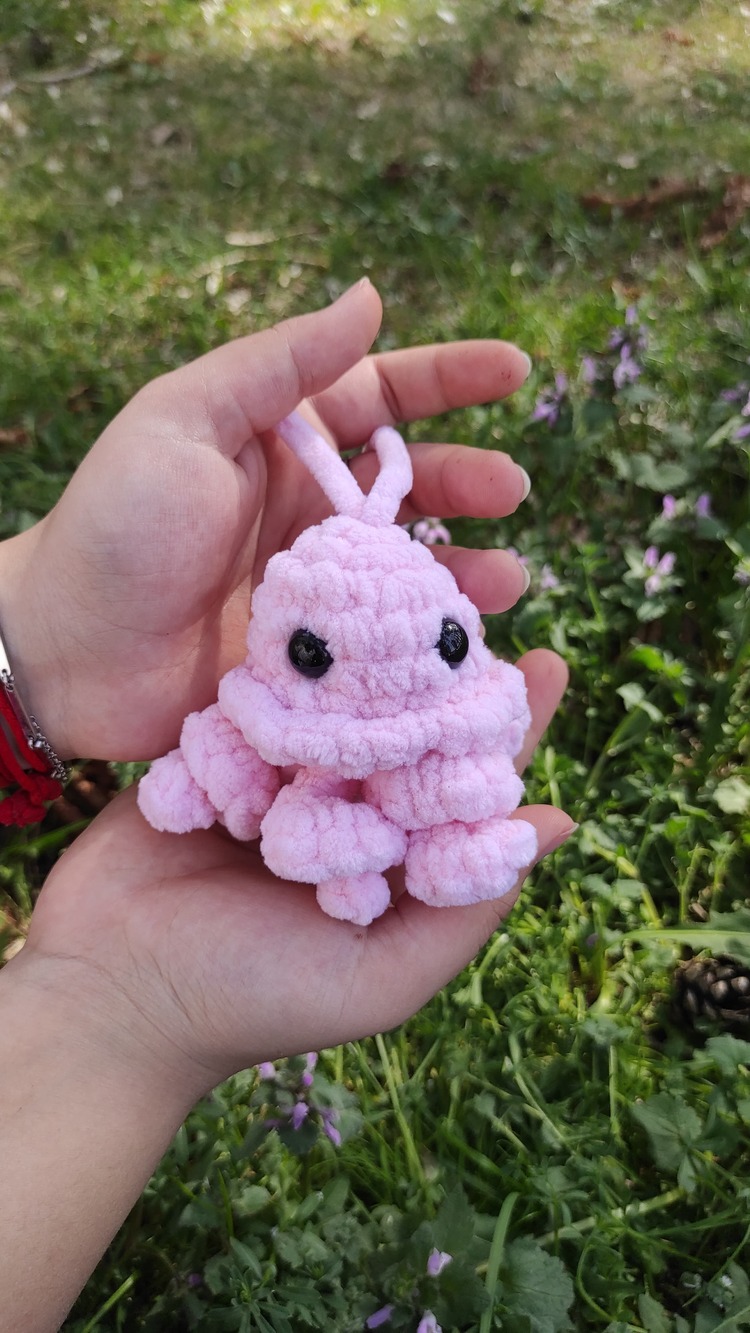 Jellyfish