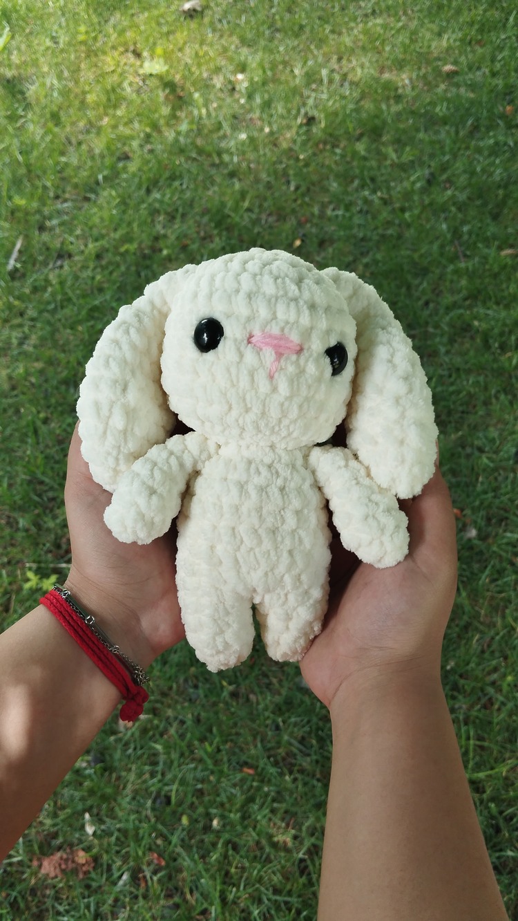 Mini tavşan