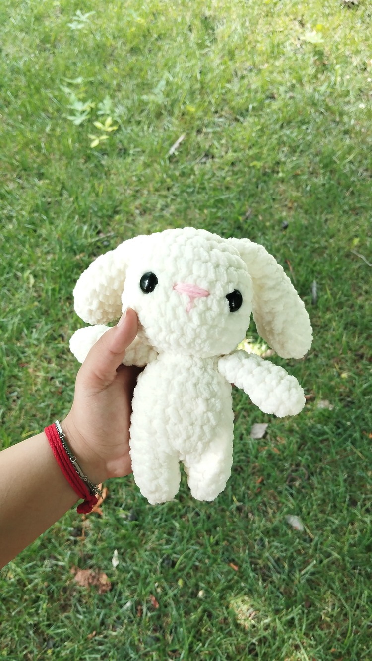 Mini tavşan