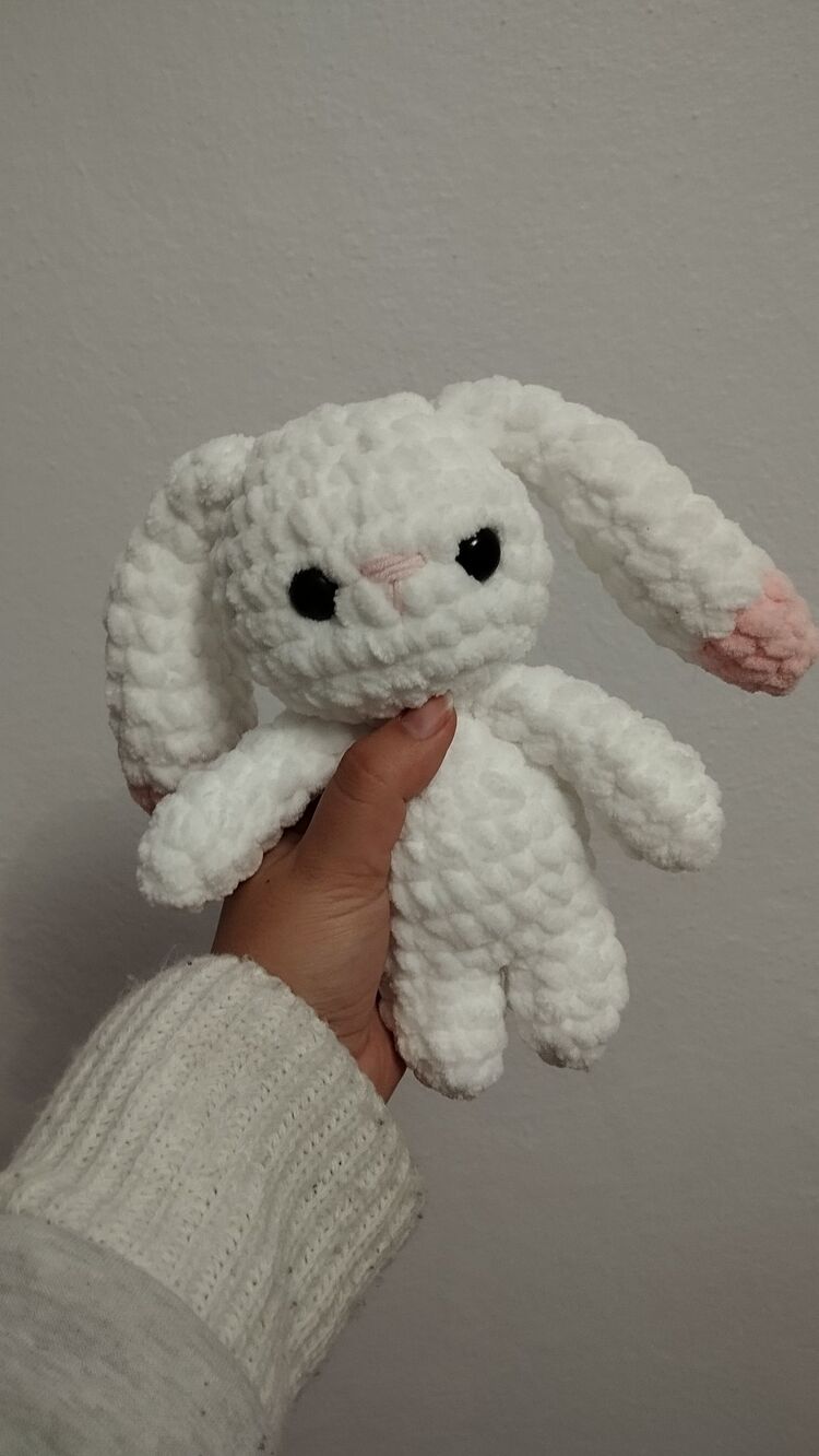 Mini tavşan