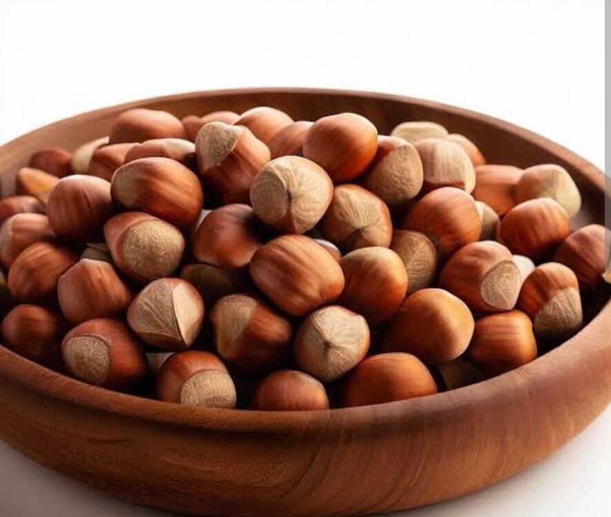 KABUKLU FINDIK 500GR