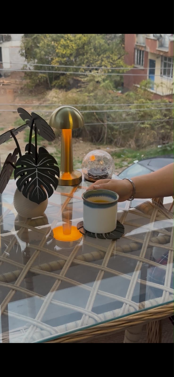 Monstera Yaprağı Tasarımlı 6'lı Dekoratif Nihale Seti ve Saksı Standı