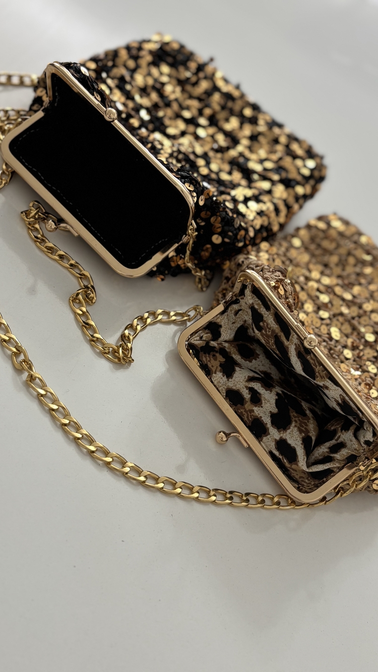 sequin bag