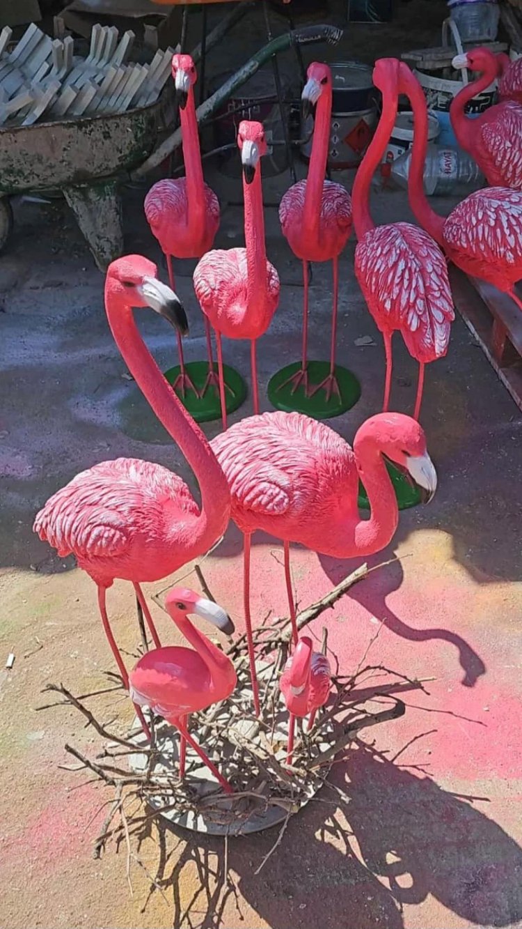 Yeni model bazalı üçlü Flamingo