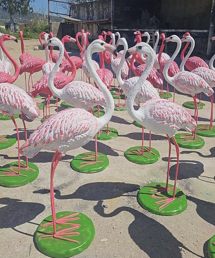 Büyük flamingo