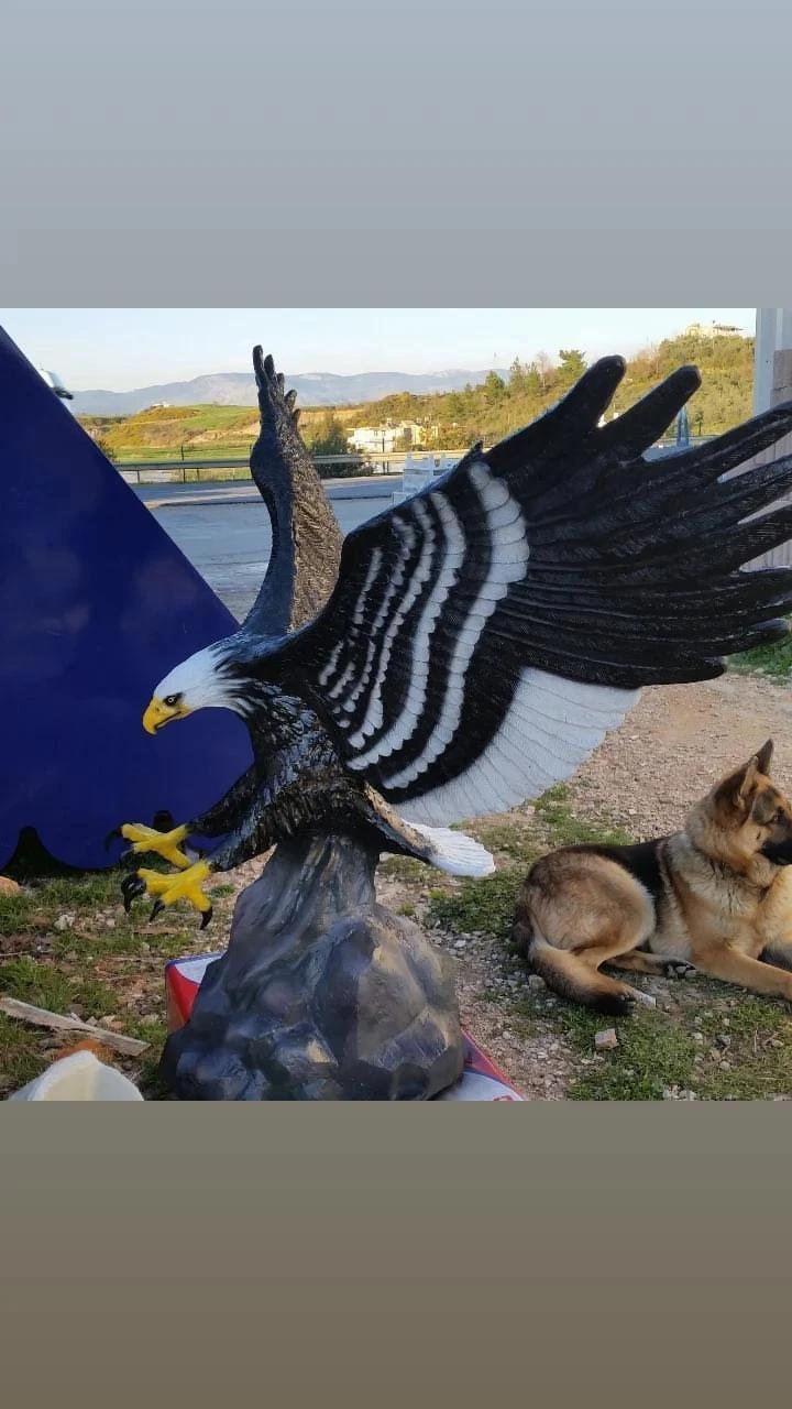 Büyük boy dev Kartal