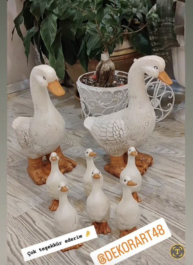 8,li ördek Ailesi
