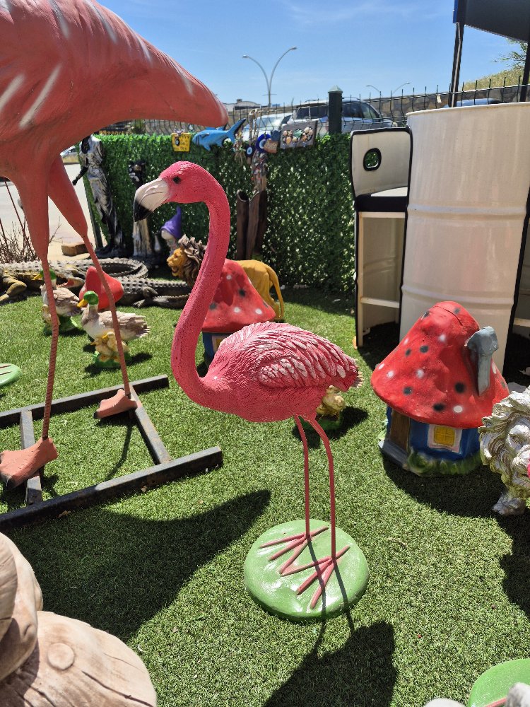 Büyük flamingo