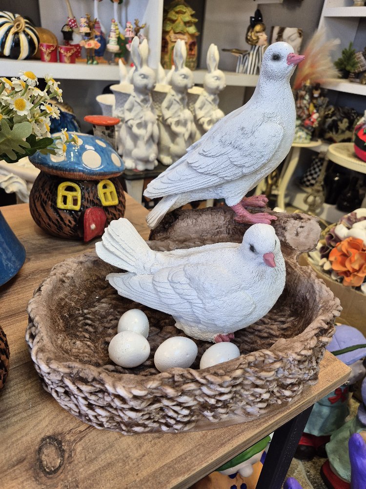 Yuvalı yumurtalı güvercin