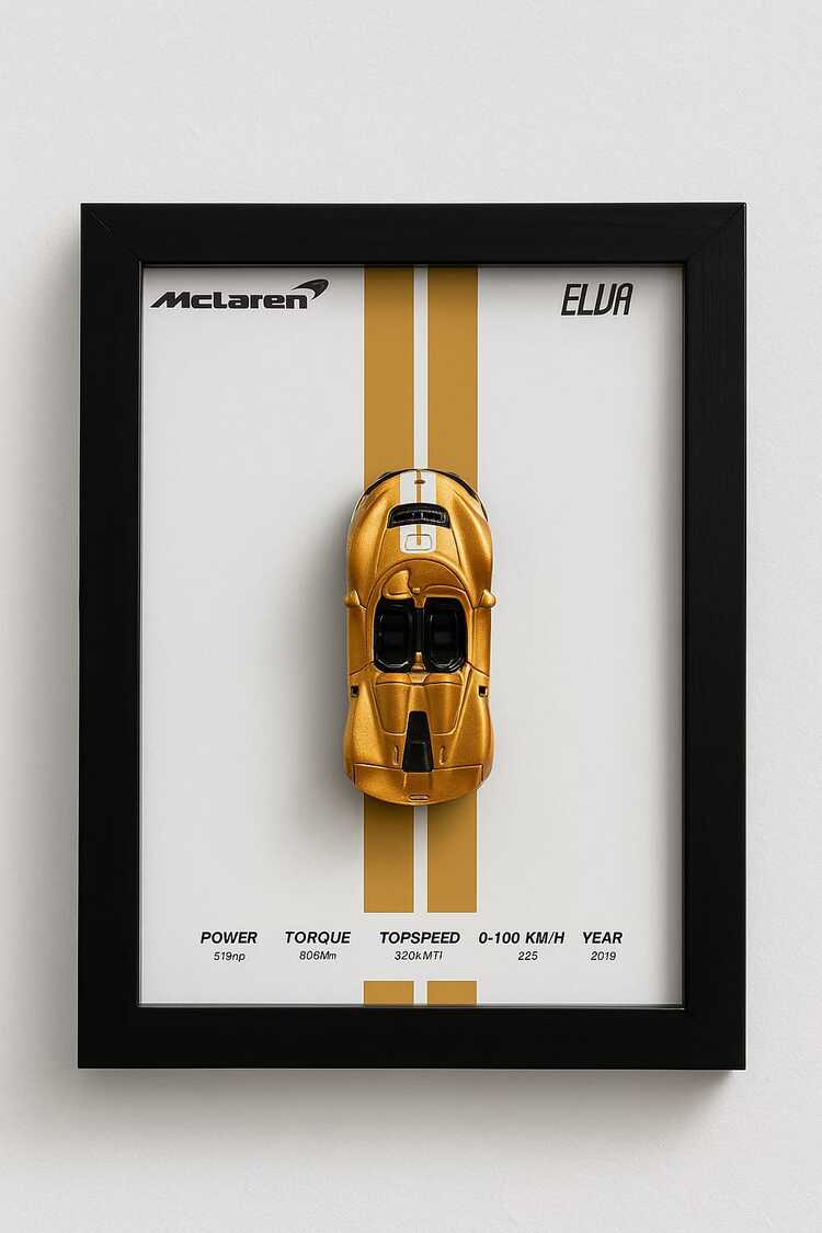 McLaren Elva