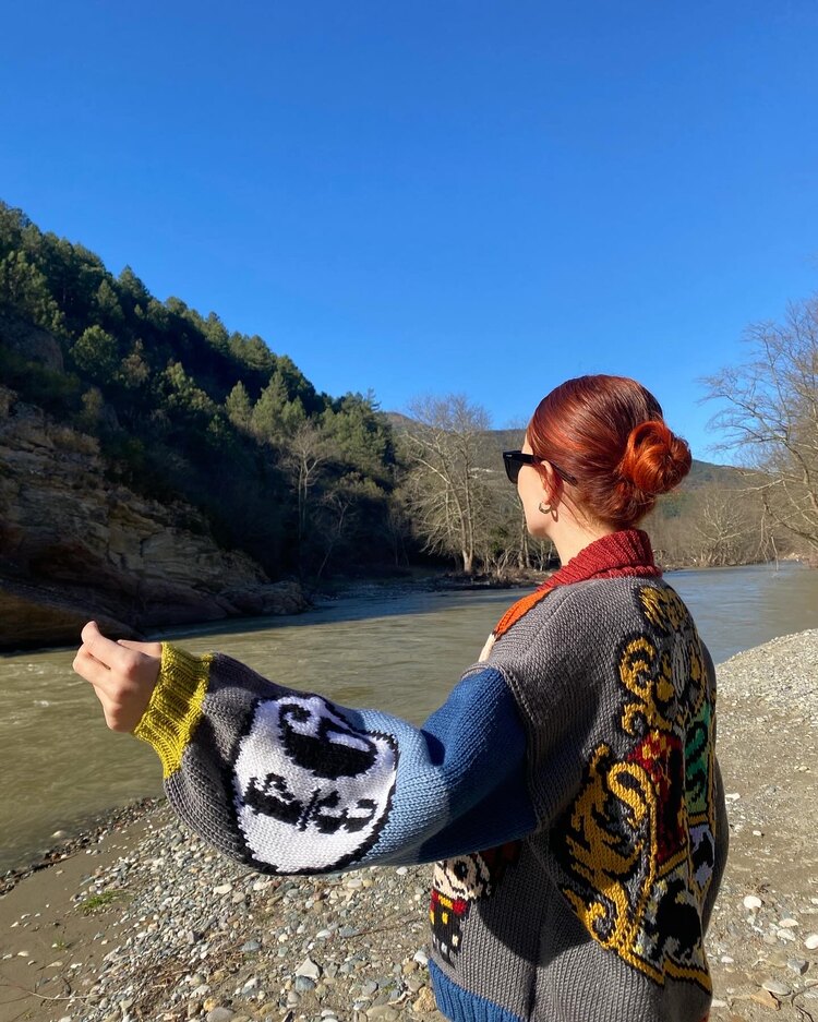 Harry Potter Hogwarts Hırka