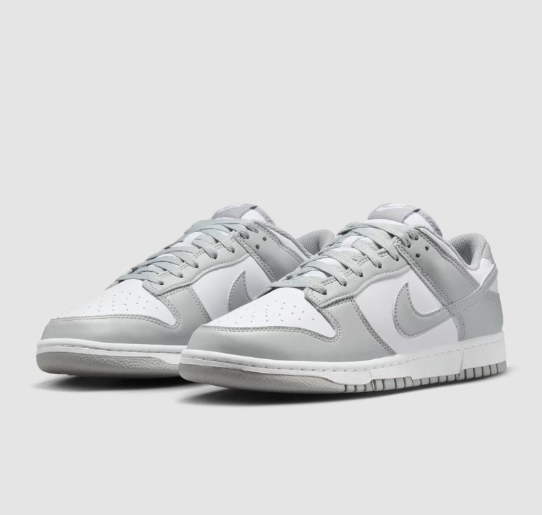 Nike Dunk Low Retro Erkek Spor Ayakkabı