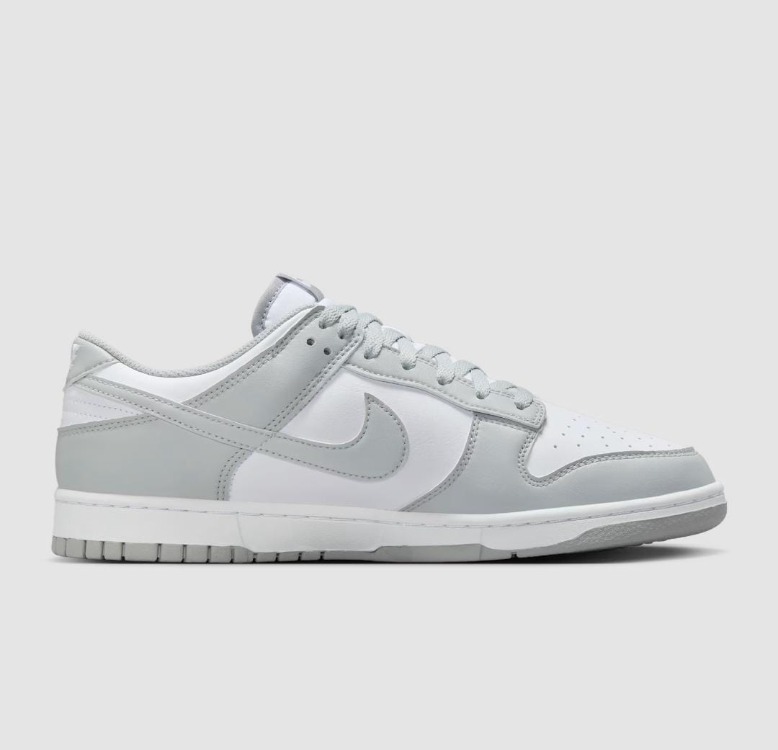 Nike Dunk Low Retro Erkek Spor Ayakkabı