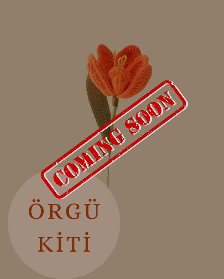 Lale Örgü Kiti