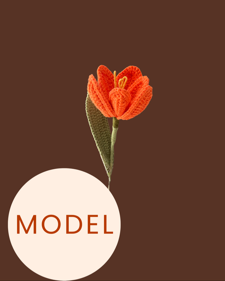 PDF Model - Örgü Lale Modeli